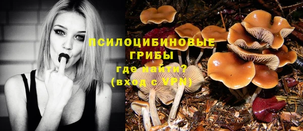 соль курить ск Лабытнанги