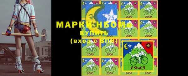тгк Ладушкин